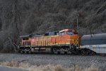 BNSF 5302 Roster shot